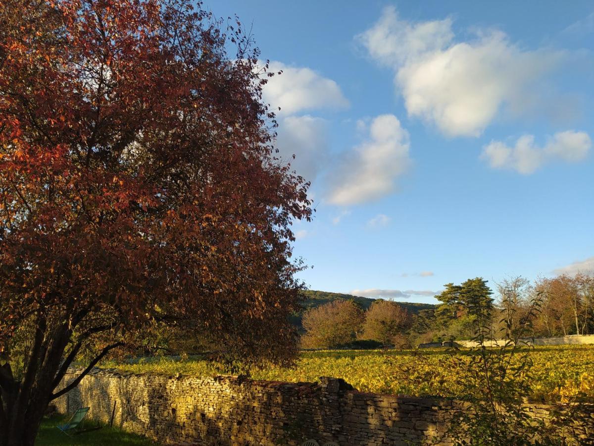 Le Clos Du Chateau Rully  Eksteriør billede